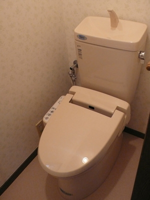 シンプルでお手頃!アメージュZに交換 シンプルでお手頃!アメージュZに交換